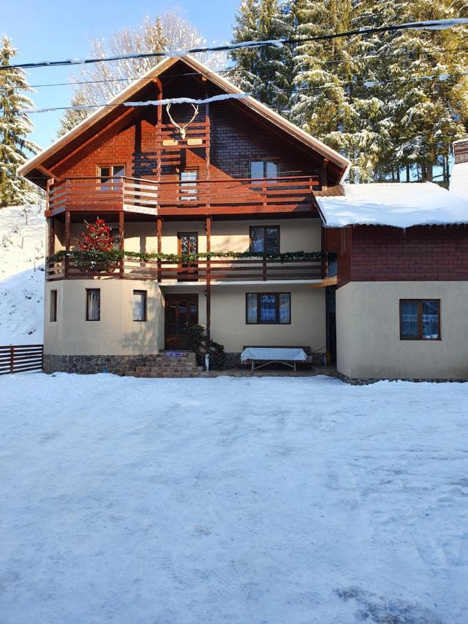 Casa Cerbu Villa Arieşeni Exterior foto