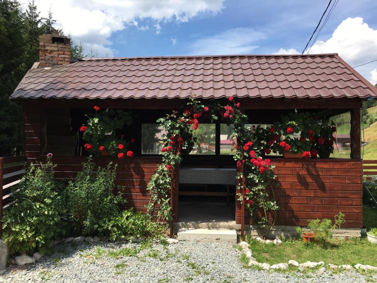 Casa Cerbu Villa Arieşeni Exterior foto