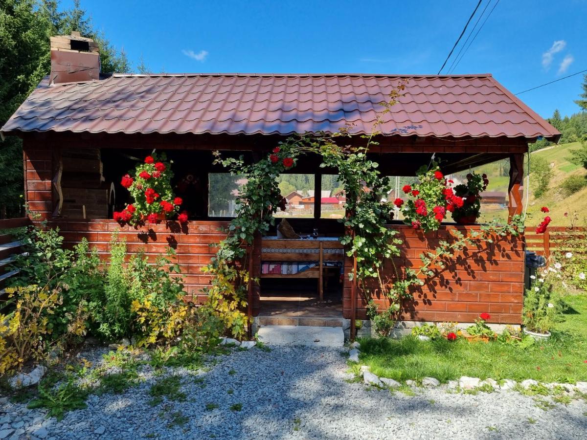 Casa Cerbu Villa Arieşeni Exterior foto